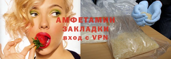 шишки Арсеньев