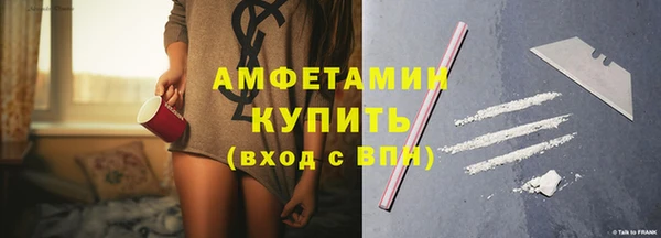 шишки Арсеньев
