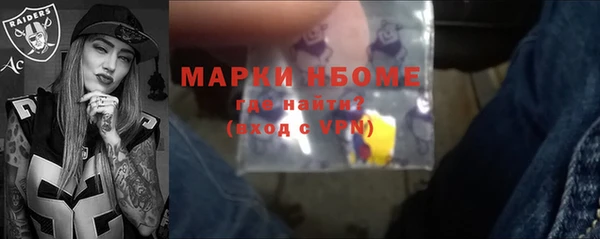 шишки Арсеньев