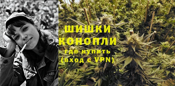 шишки Арсеньев