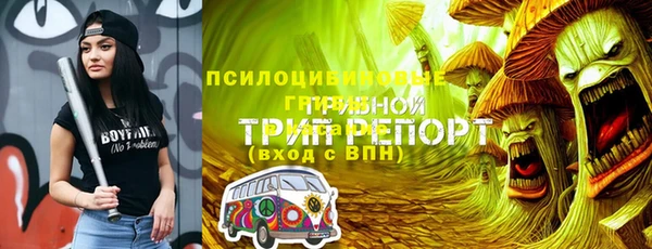 шишки Арсеньев